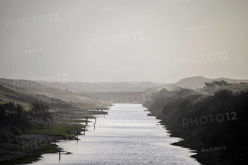 A calm branch of water in a foggy monochrome dune landscape at dusk, Amsterdamse Waterleidingduinen, Zandvoort, Noord-Holland, Netherlands