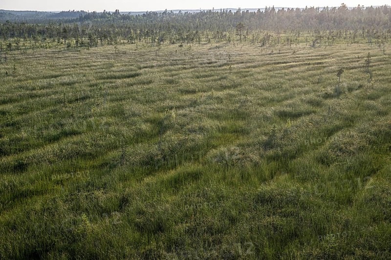 Extensive moorland taken from an elevated position, near Vianaavan Lintutorni, Ravaniemi, Saarenkylä, Lapland, Finland
