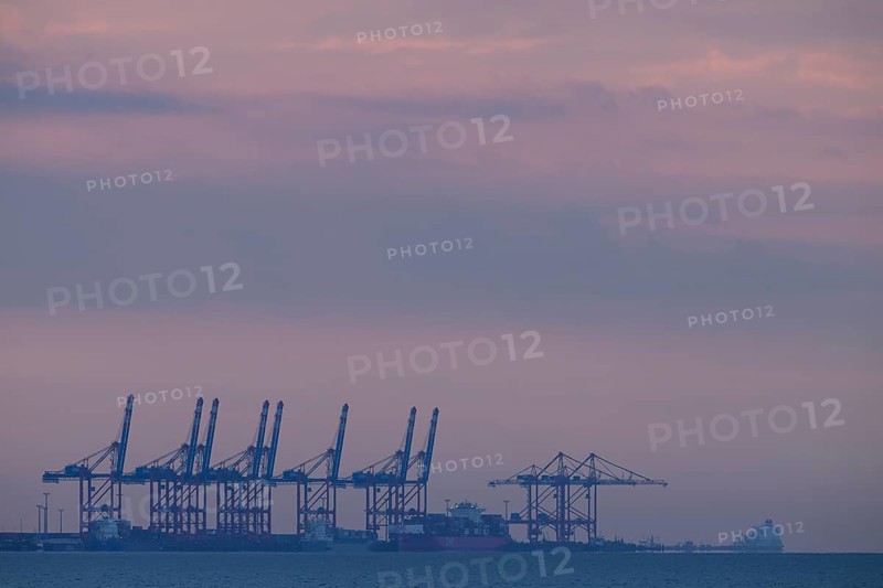 Cranes container bridges at Jade.Weser Port against a purple evening sky, calming atmosphere, Eckwarderhörne, Butjadingen, Lower Saxony, Germany