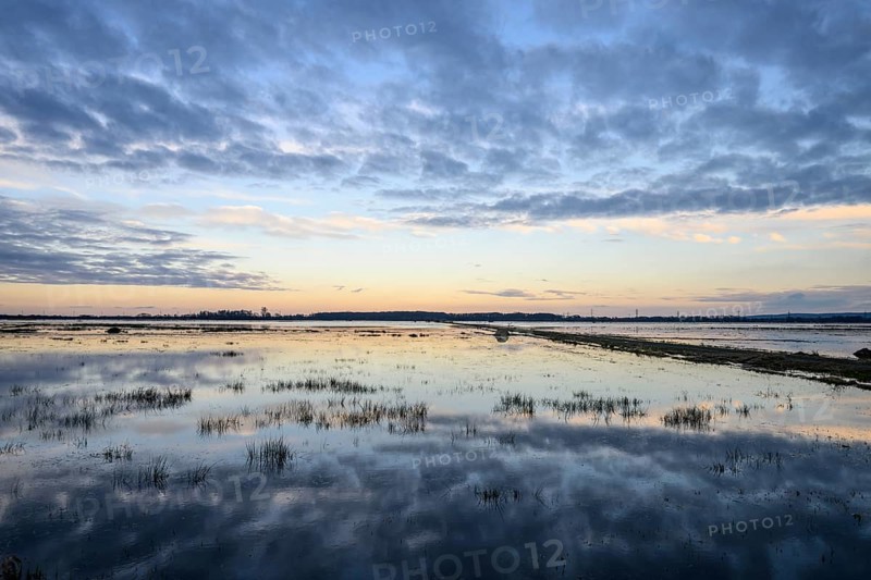 Wide water landscape with cloudy sky at sunset Moist meadows in Ochsenmoor during high tide, Dümmer nature park Park, Lower Saxony, Germany