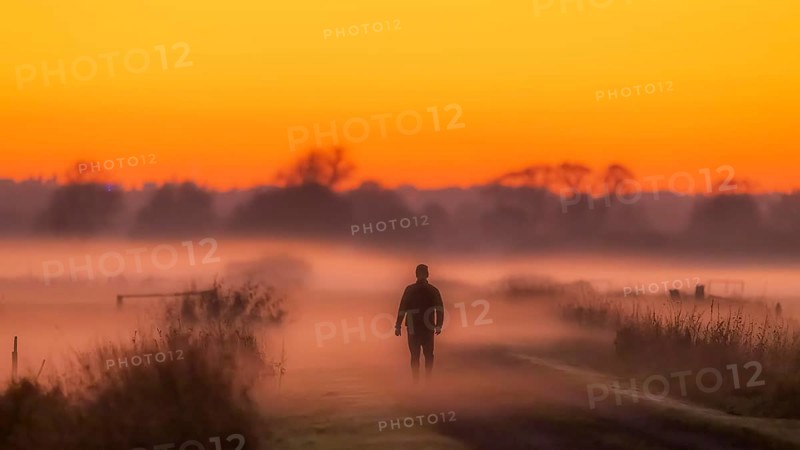 A lonely person walks at sunset through the misty lowmoor landscape, Dümmer nature park Park, Lower Saxony, Germany