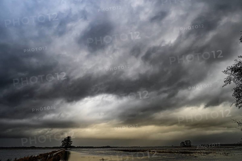 Dark, threatening clouds over a quiet, flat landscape with a lonely tree on the edge channel of Lake Dümmer, meadows in the western Dümmer lowlands, Schwege, Bohmte, Lower Saxony, Germany