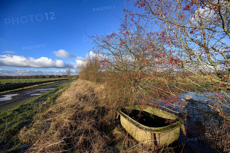 Old drinking trough at the edge of a path next to hawthorn bushes (Crataeguzs monogyna) under a blue sky with cloudsMariendrebber, Drebber, Lower Saxony, Germany