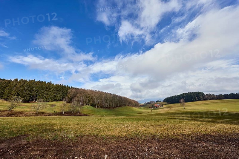Landscape photography, hilly landscape, hills, coniferous forest, trees, meadow, cloud shadow, blue sky, cumulus clouds, cirrus clouds, stratocumulus clouds, Breitebene, Hofstetten, Black Forest, Ortenaukreis, Baden-Württemberg, Germany