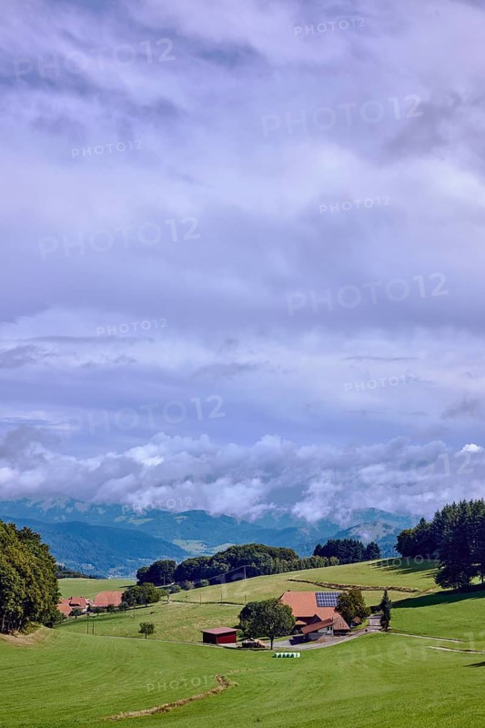 Landscape photography, hilly landscape, hills, coniferous forest, meadow, trees, homestead, haze, sunny, cloudy, cirrostratus clouds, cumulus clouds, Breitebene, Hofstetten, Black Forest, Ortenaukreis, Baden-Württemberg, Germany