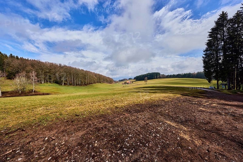 Hilly landscape, hills, coniferous forest, meadow, trees, cloud shadows, blue sky, cumulus clouds, stratocumulus clouds, broad plain, Hofstetten, Black Forest, Ortenaukreis, Baden-Württemberg, Germany
