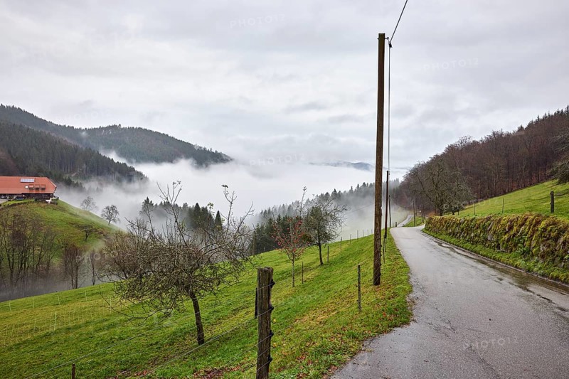 Hilly landscape, fence, overhead line, wooden overhead pole, meadow, coniferous forest, wet road, fog, Nimbostratus clouds, broad plain, Hofstetten, Black Forest, Ortenaukreis, Baden-Württemberg, Germany