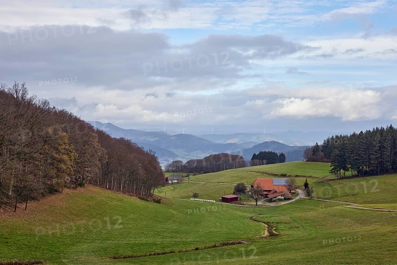 Landscape photography, mountain landscape, hills, coniferous forest, meadow, homestead, haze, diffuse light, milky blue sky, cumulus clouds, stratocumulus clouds, Breitebene, Hofstetten, Black Forest, Ortenaukreis, Baden-Württemberg, Germany