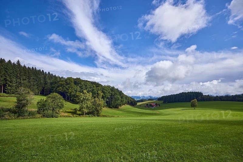 Landscape, landscape photography, hills, coniferous forest, meadow, blue sky, cumulus clouds, cirrus clouds, stratocumulus clouds, broad plain, Hofstetten, Black Forest, Ortenaukreis, Baden-Württemberg, Germany