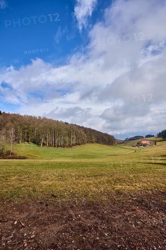 Landscape photography, hilly landscape, hills, meadow, coniferous forest, trees, cloud shadows, homestead, blue sky, cumulus clouds, stratocumulus clouds, Breitebene, Hofstetten, Black Forest, Ortenaukreis, Baden-Württemberg, Germany