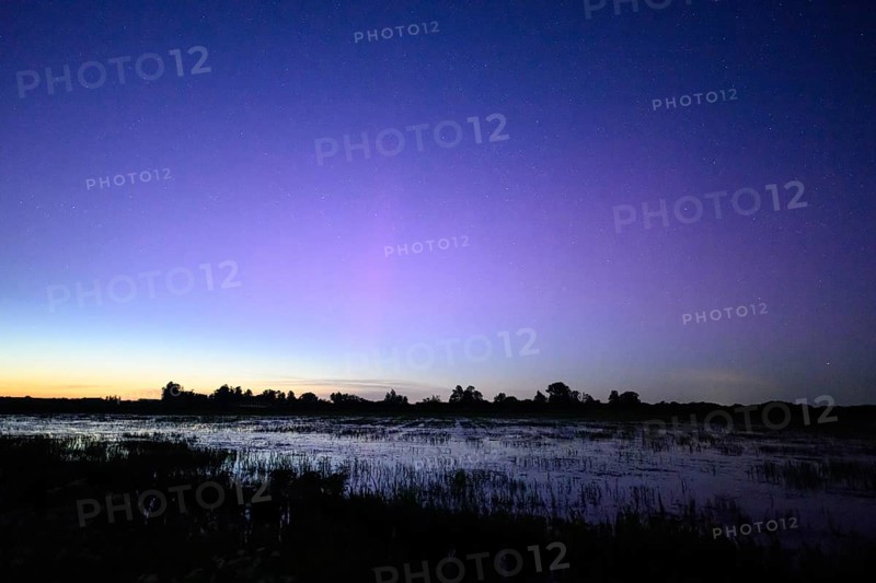 Tranquil landscape at dusk with blue-purple sky over pond meadows on Ochsenmoor, silhouettes of trees in the background, Dümmerniederung nature park Park, Lower Saxony, Germany
