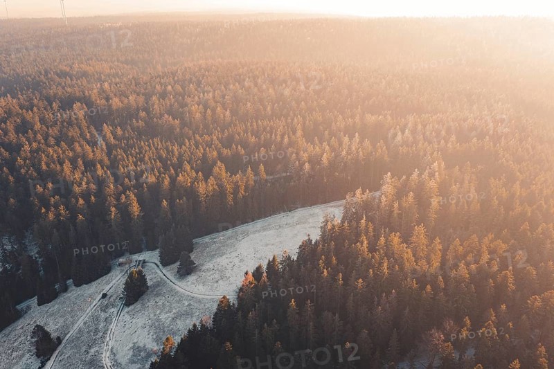 Forest panorama in warm sunset light with mountains in the background, Enzklösterle, Calw district, Germany