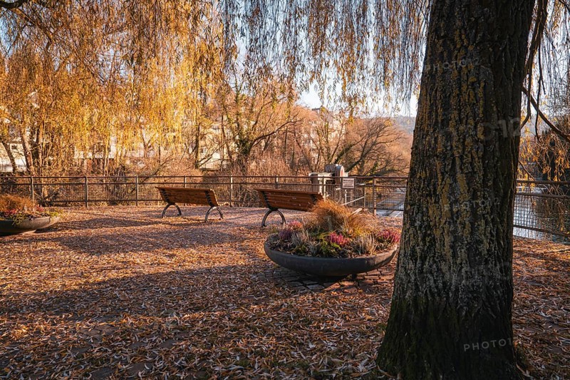 Two park benches under autumn trees in quiet surroundings, Stadtgarten Pforzheim, Germany