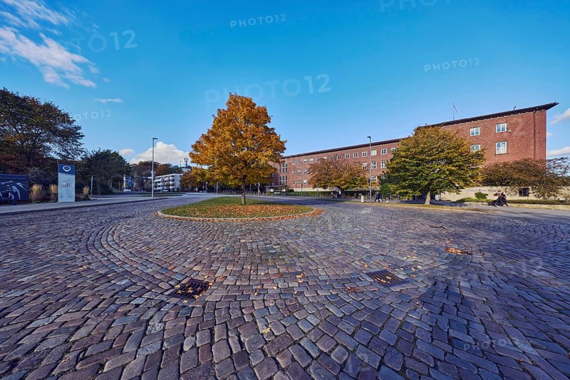 Norway maple (Acer platanoides), brick building, Ministry of Finance, street, central island, bus stop Reventloubrücke, cobblestone pavement, trees with autumn leaves, lawn, blue sky, cumulus clouds, Reventloubrücke, Reventlouallee, Kiel, state capital, independent city, Schleswig-Holstein, Germany