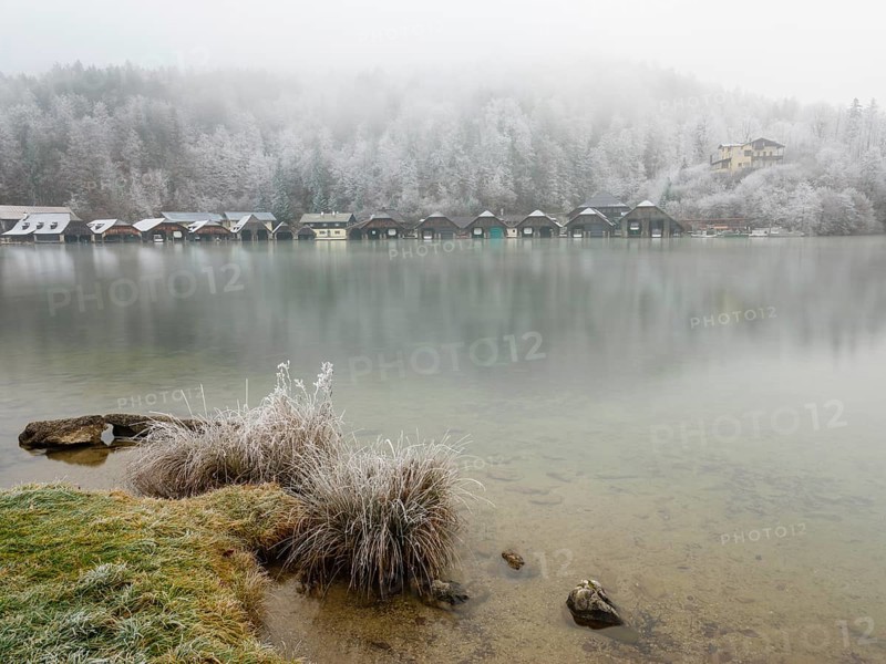 View across Königssee to boathouses and frozen trees in fog, Schönau am Königssee, Berchtesgadener Land, Upper Bavaria, Bavaria, Germany