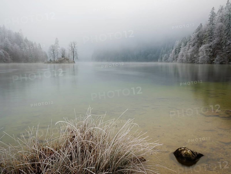 View across Königssee to Christlieger Island and frozen trees in fog, Schönau am Königssee, Berchtesgadener Land, Upper Bavaria, Bavaria, Germany