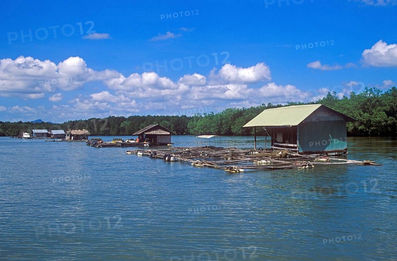 Fish farms in the tidal river near Krabbi, two years in front of the tsunami, Thailand, December 2002, vintage, retro, old, historic