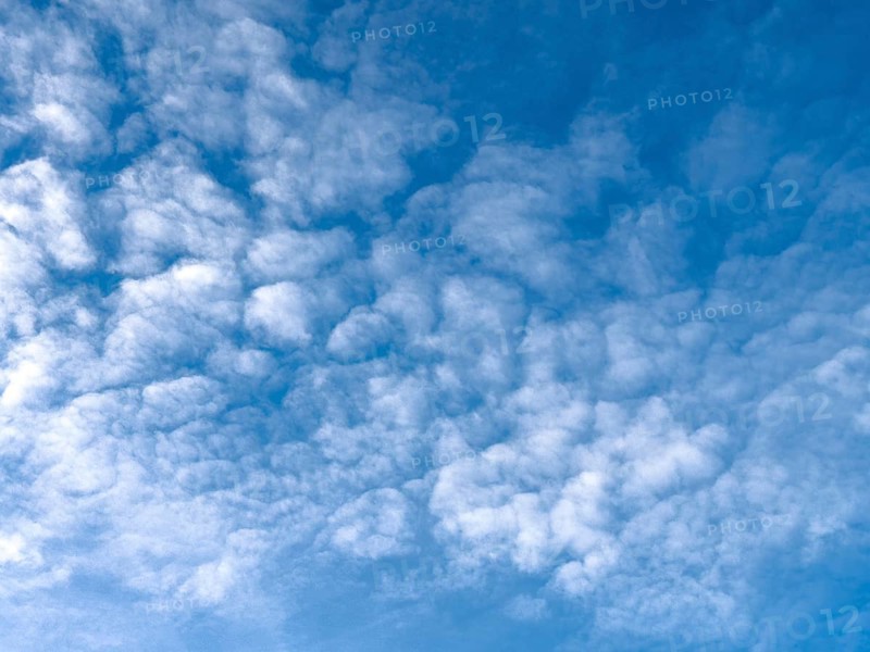Medium-height white clouds of Altocumulus in blue sky, international