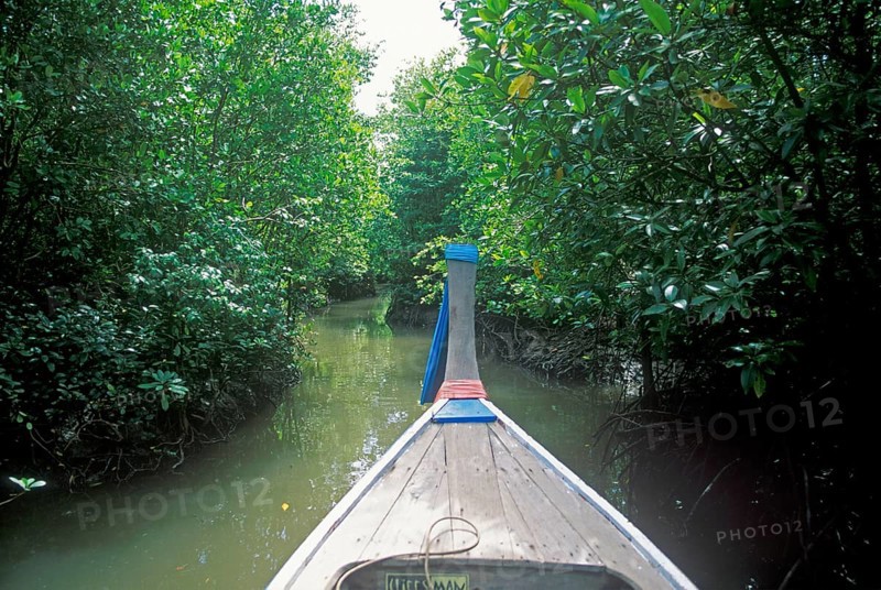 Boat trip through the mangrove jungle near Krabbi, two years in front of the tsunami, Thailand, December 2002, vintage, retro, old, historic