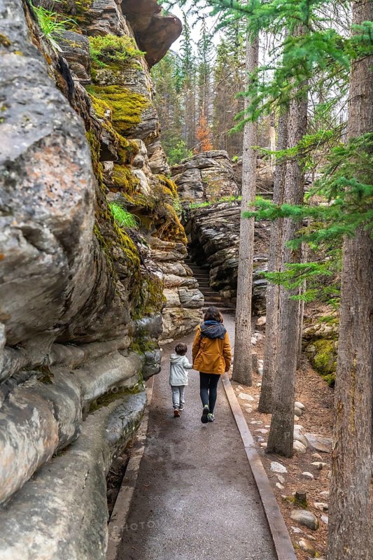 Mother and child enjoying a leisurely walk along a paved path, surrounded by lush green trees and moss covered rock formations at athabasca falls in jasper national park, alberta, canada