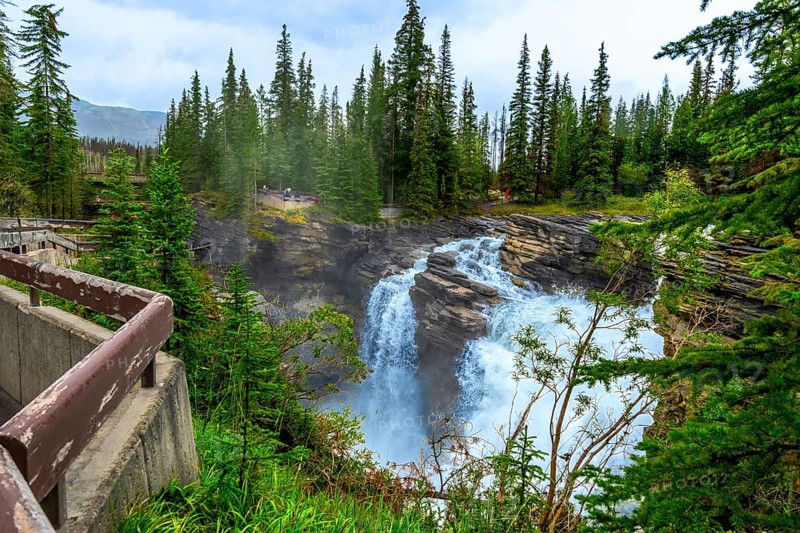 Athabasca falls, located in jasper national park, alberta, canada, displays its powerful cascading water amidst a lush evergreen forest, creating a breathtaking natural wonder