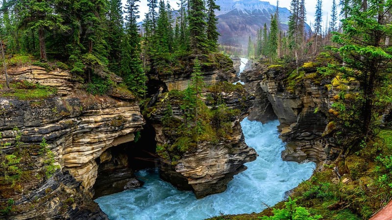 Powerful athabasca falls cascading through a narrow canyon, surrounded by lush pine forests and rocky cliffs in jasper national park, reveals nature's raw beauty
