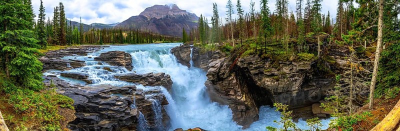 Panoramic view of the powerful athabasca falls cascading over rocks and surrounded by lush green forest in jasper national park, alberta, canada, showcasing the raw beauty of nature