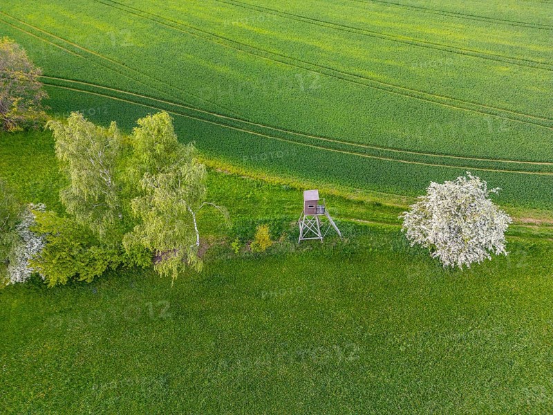 Aerial view, drone photo: Green landscape with trees, raised stand and blooming cherry tree, Rützengrün, Jakobsweg Silberberg, Vogtland, Saxony, Germany