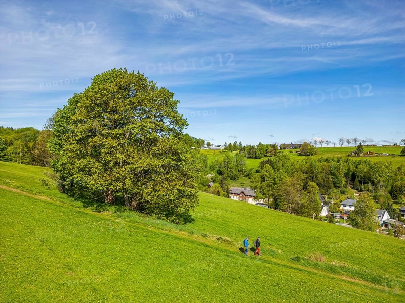 Aerial view, drone photo: Two hikers walk down the ridge trail through the Ore Mountains, health resort and toy village Seiffen, Ore Mountains, Saxony, Germany