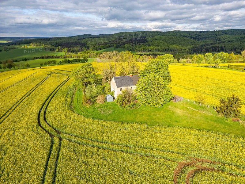 Aerial view, drone photo: Lonely country house with trees, surrounded by blooming rapeseed, forests in the back, Schwartenberg, Ore Mountains Vogtland nature park Park, Neuhausen, Ore Mountains, Saxony, Germany