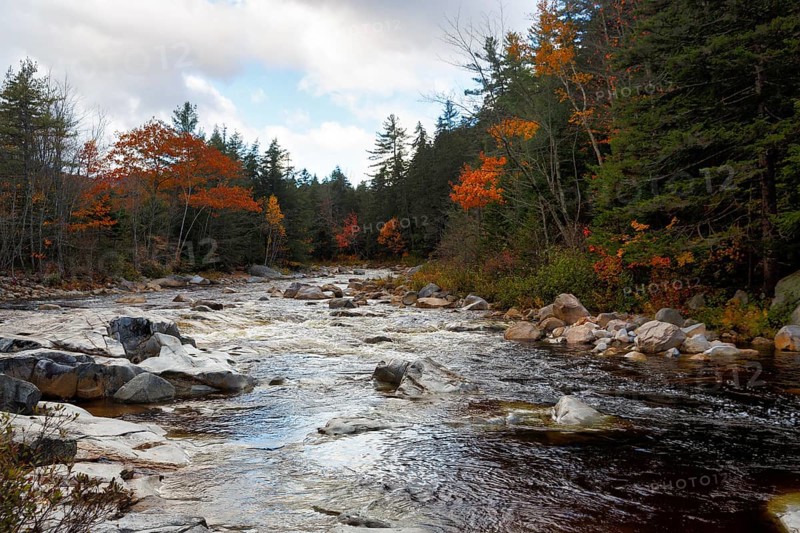 Rapids, Rocky Gorge, Swift River, Albany Riverscape, Fall Leaves, Indian Summer, Fall Weather, White Mountain National Forest, Kancamagus Highway, New Hampshire, New England, USA