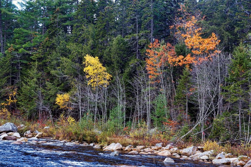 Riverside, Rocky Gorge, Swift River, River Landscape near Albany, Autumn Leaves, Indian Summer, White Mountain National Forest, Kancamagus Highway, New Hampshire, New England, USA