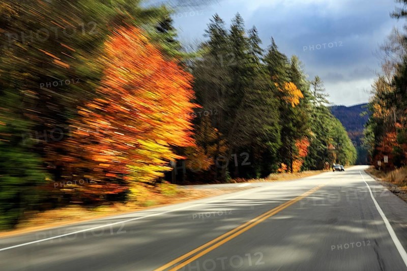 Country road through forest, autumn leaves, Indian summer, sunny fall weather, smudge effect, blur, symbolic photo, speed, Kancamagus Highway, White Mountain, New Hampshire, New England, USA