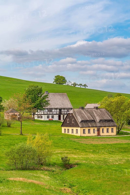 Historic houses with half-timbered timber and shingles under trees in the Seiffen open-air museum, Ore Mountains, Saxony, Germany