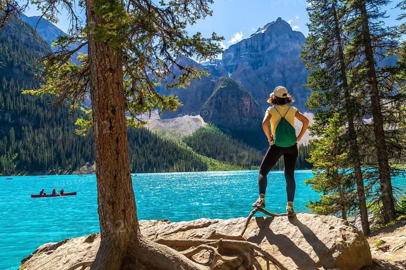 Female tourist standing on a rock by a tree, admiring the turquoise waters of moraine lake with canoeists and the majestic canadian rockies in the background