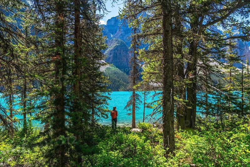 Tourist with a backpack enjoying the breathtaking view of turquoise moraine lake, surrounded by lush pine trees and majestic mountains in banff national park, alberta