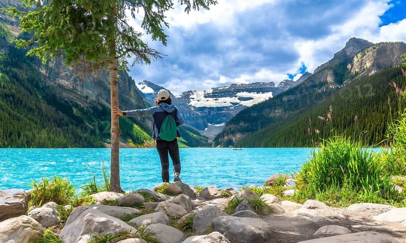 Female tourist standing by a tree on the rocky shore of turquoise lake louise, admiring the stunning view of surrounding mountains and glaciers in banff national park