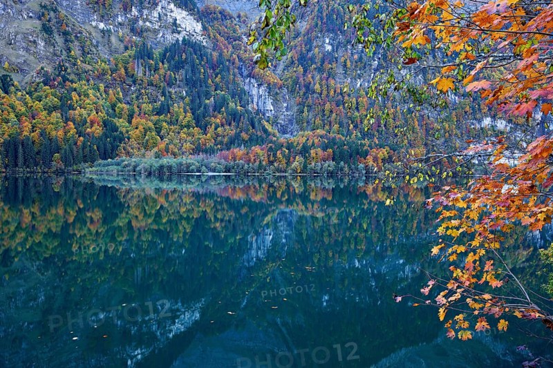 Autumn-colored forest is reflected in Lake Klöntal, Canton of Glarus, Switzerland