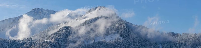 Mountain panorama from Söllereck, 1706m, in winter, Allgäu Alps, Allgäu, Bavaria, Germany