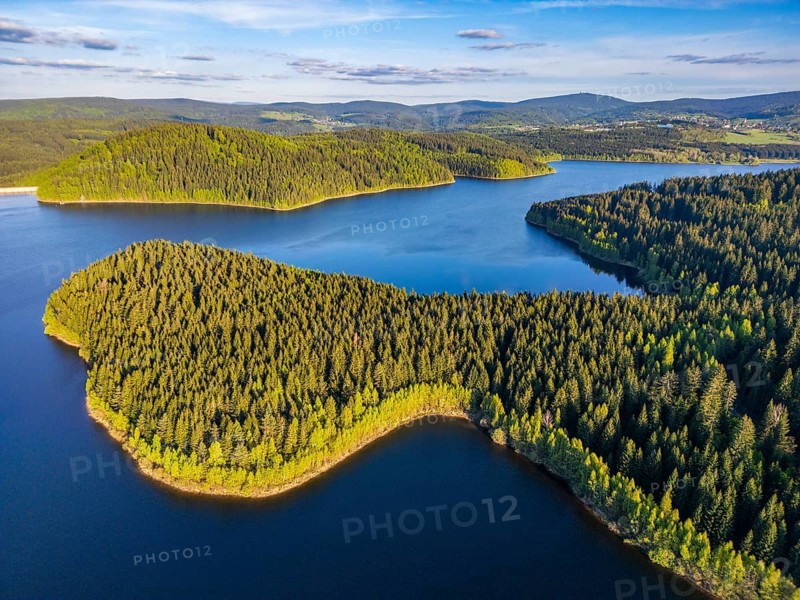 Aerial view, drone photo: spruce forest and beech trees at the Eibenstock drinking water reservoir, Ore Mountains, Saxony, Germany