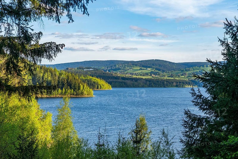 View through the spruce forest of the Eibenstock drinking water dam, Ore Mountains, Saxony, Germany