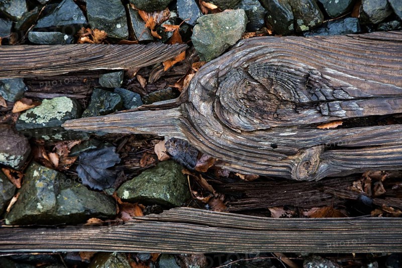 Old weathered railway threshold, detail photo, near Bresewitz station, near Zingst, Mecklenburg-Western Pomerania, Germany