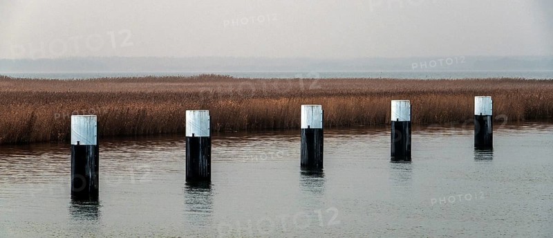 Lagoon area at the Meinigenbrücke near Zingst, panorama, Fischland-Darß-Zingst, Western Pomerania Lagoon Area National Park, Mecklenburg-Western Pomerania, Germany