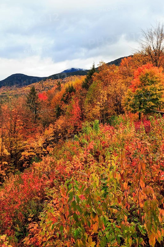 Scenic View, Fall Leaves, Indian Summer, Sugar Hill Observation Deck, Kancamagus Highway, White Mountain, New Hampshire, New England, USA