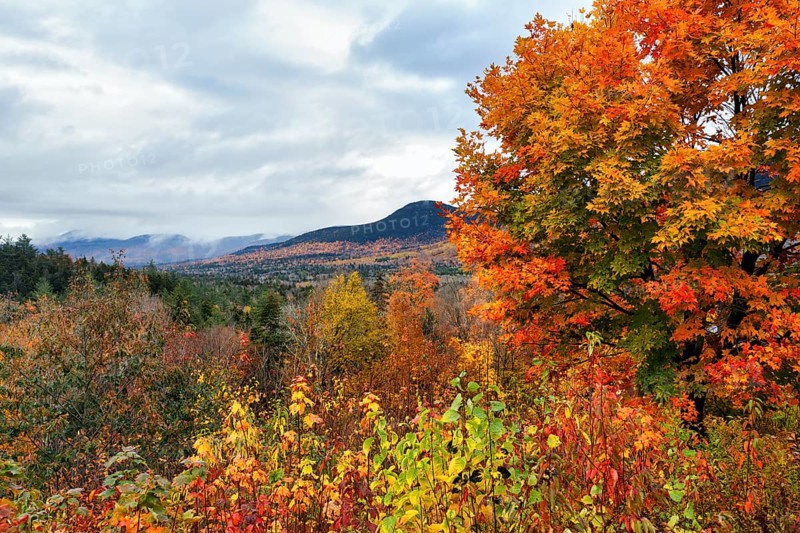 Scenic View, Panoramic View, Fall Leaves, Indian Summer, Fall Weather, Sugar Hill Observation Deck, Kancamagus Highway, White Mountain, New Hampshire, New England, USA