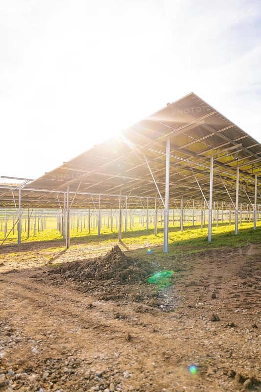 Underside of a solar panel with intense sunlight over a field, Energiewende, construction of PV open space, Baden-Württemberg, Germany
