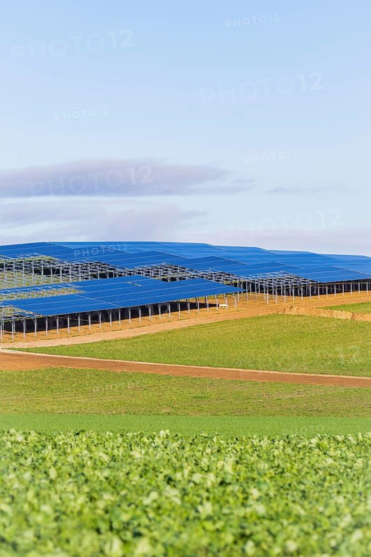Solar panels in a large field under blue sky, Energiewende, construction of PV open space, Baden-Württemberg, Germany