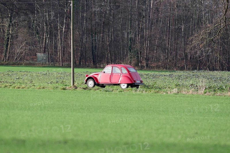 Citroën 2CV, car, duck, red, classic car, rural, Germany, A single Citroën drives on a country road