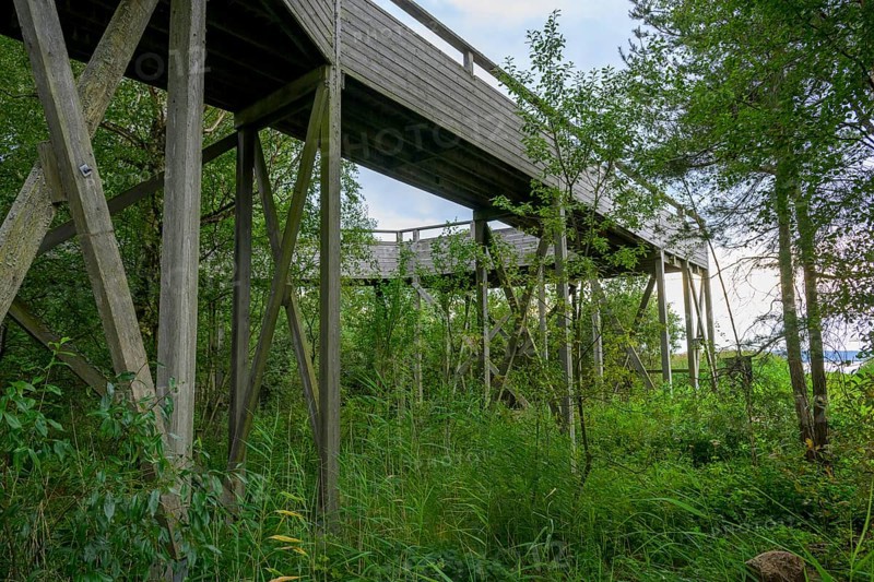 Long wooden bridge leads through lush greenery and trees to an observation tower at Lake Tåkern barrier-free access for wheelchair users, Tåkern, Vadstena, Östergötalands Län, Sweden