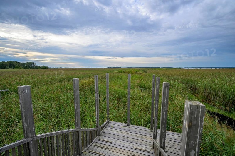 Wooden viewing platform with a view of extensive reeds under cloudy sky, Tåkern, Vadstena, Östergötalands Län, Sweden